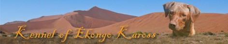 Ekongo Kaross